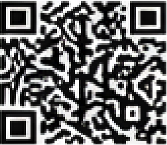 QR code to download Loopzey from Google Play